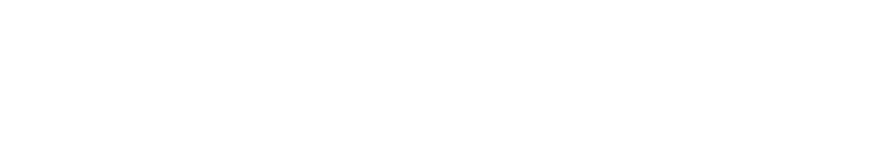 Dev Leaders